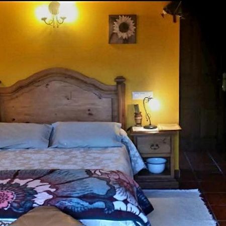 Pensjonat El Perlindango (Adults Only) Villademar Zewnętrze zdjęcie